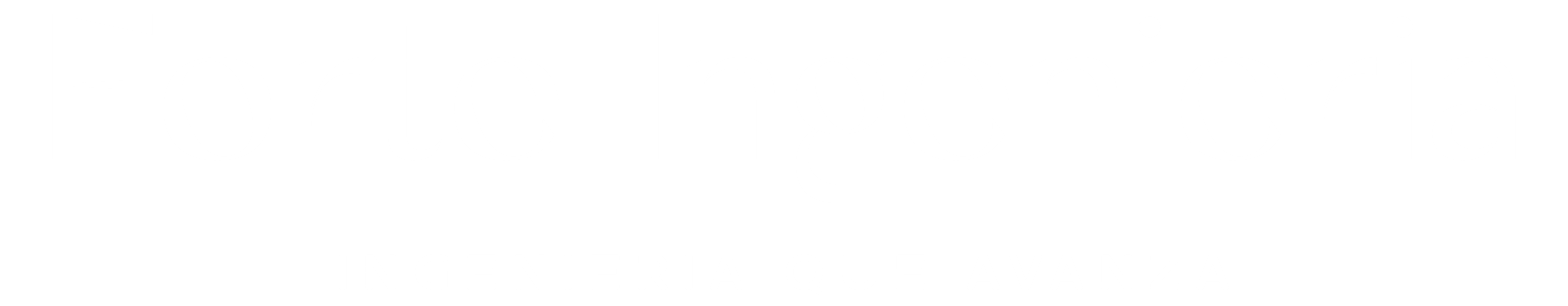 Forte Intenieria